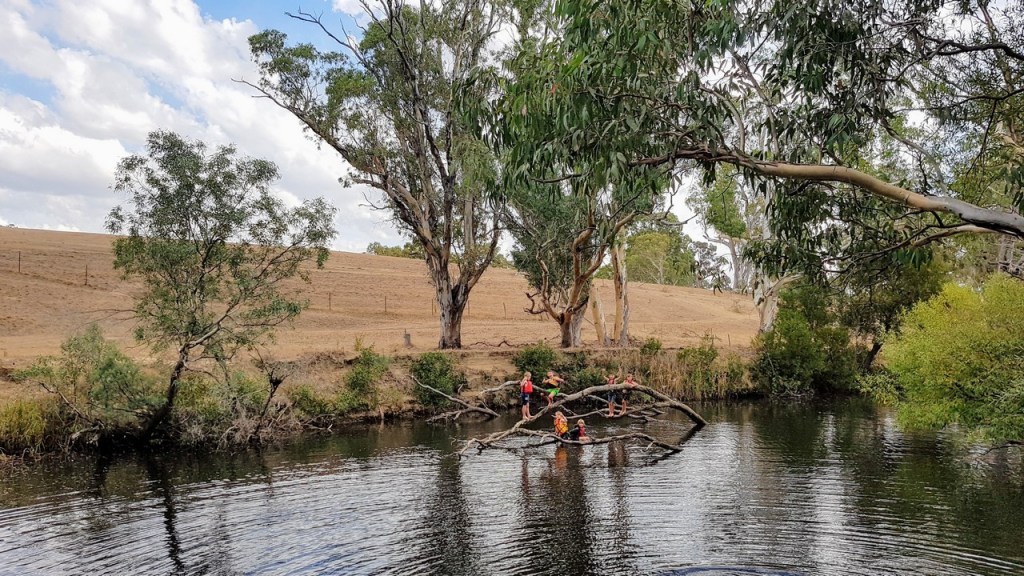 The boys swum out to this tree for their own photo opportunity. 