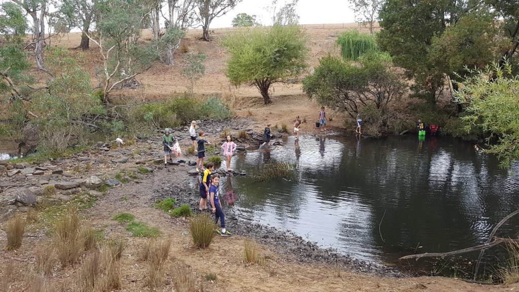 Water! Cubs scoping out the area we camped in.
